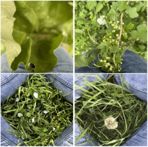 capture d’écran du 2025 11 14 13 56 49