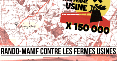 randofermeusineimagearticlevd