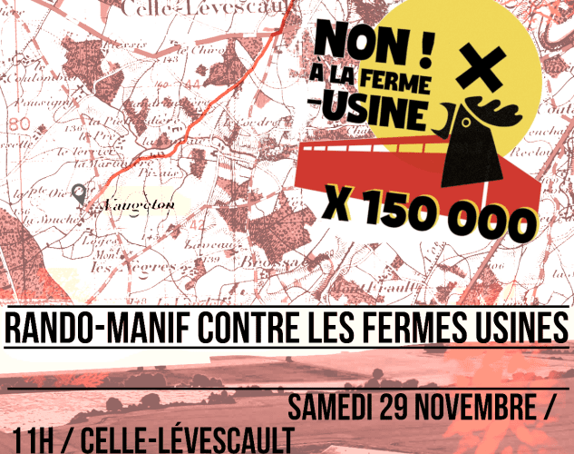 randofermeusineimagearticlevd